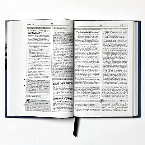 Life Principles Daily Bible, Paperback: Holy Bible, New King James Version