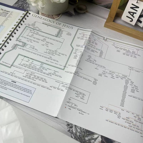 Rose Book of Bible Charts, Maps & Time Lines