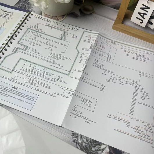 Rose Book of Bible Charts, Maps & Time Lines